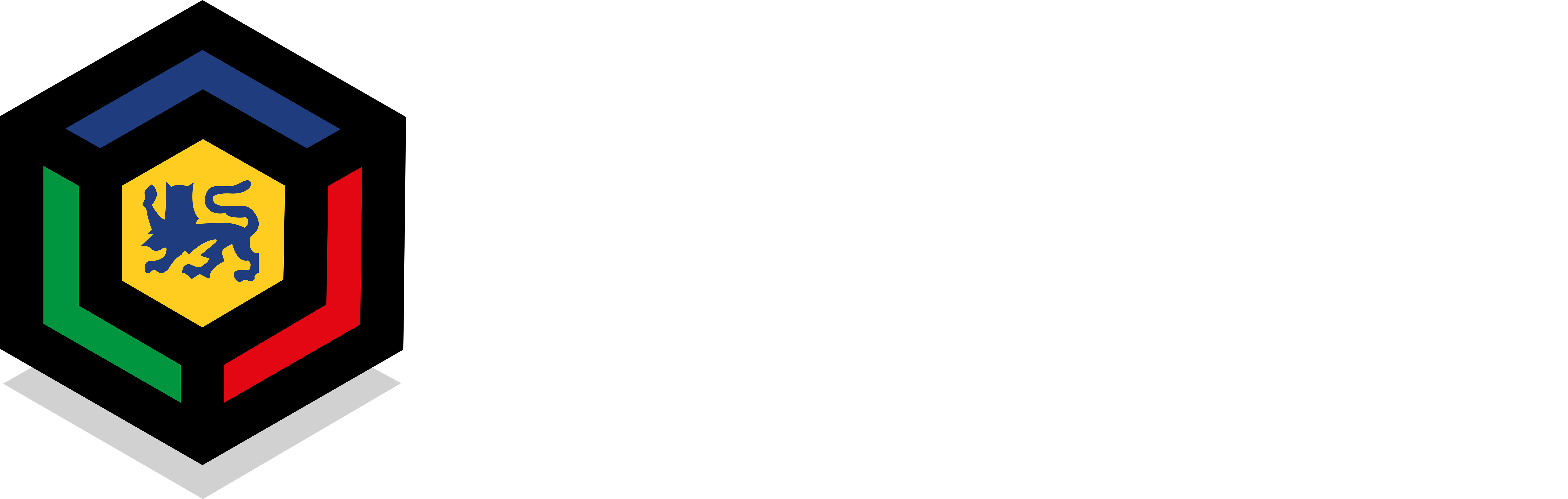 Talent Academy Noord-holland Noord
